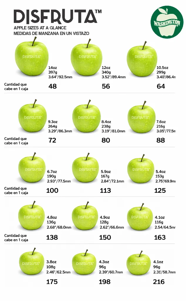Granny Smith Apple Size Chart Disfruta™.webp