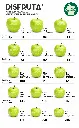 Granny Smith Apple Size Chart Disfruta™.webp