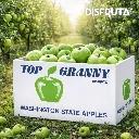 Manzana Granny Smith TOP GRANNY C-CTN Orchard.webp