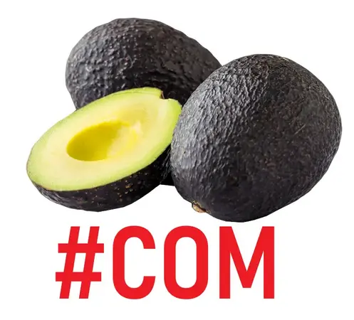 Hass Avocado | # 2° | Michoacán | BLK                                                                             