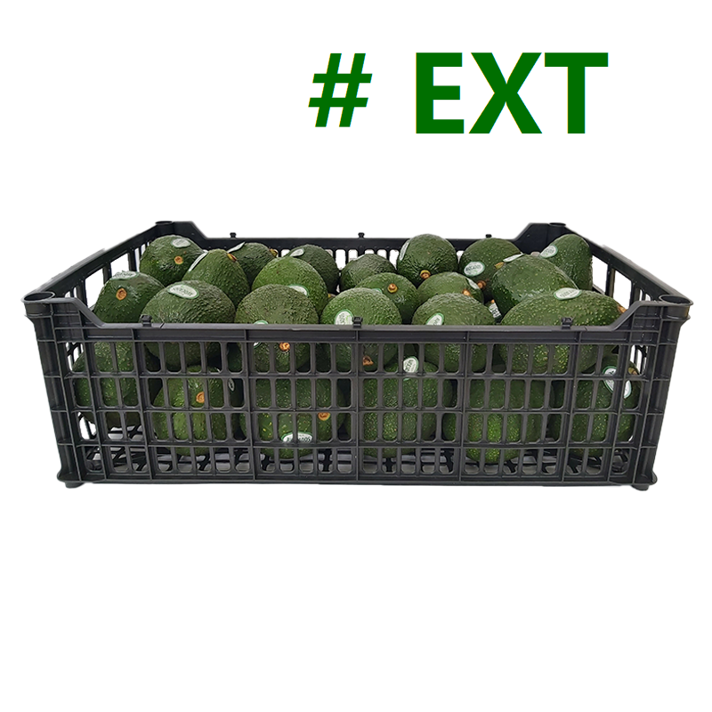 Aguacate Hass | # EXT | Michoacán | C-PLS ±10Kg                                                                               