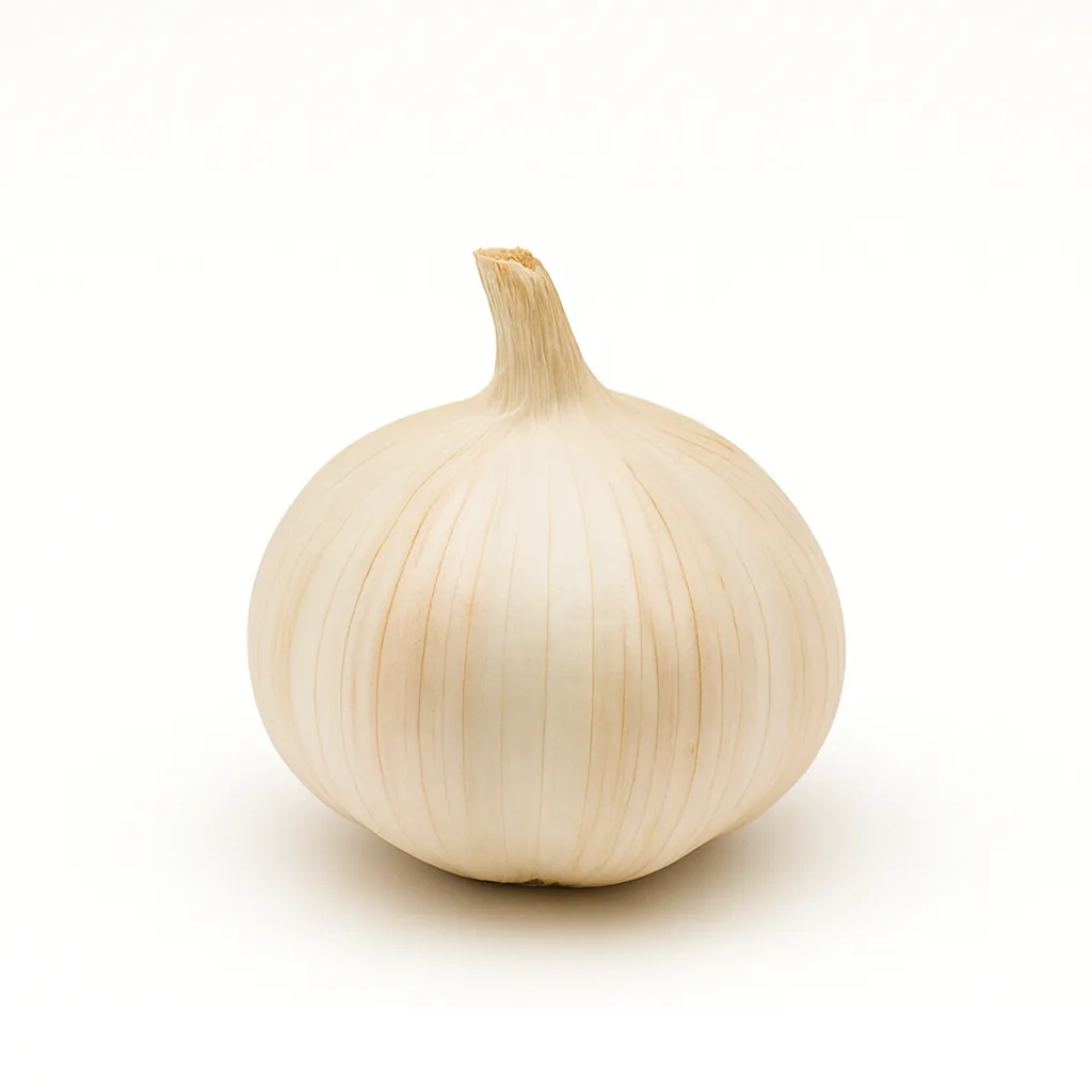 Solo Garlic | Garlic One Clove | Morelos | BLK                                                                               