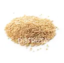 Natural White Amaranth | Jalisco | GRL                                                            