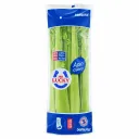 Celery | W/L | Mr. Lucky® | Guanajuato                                                                               