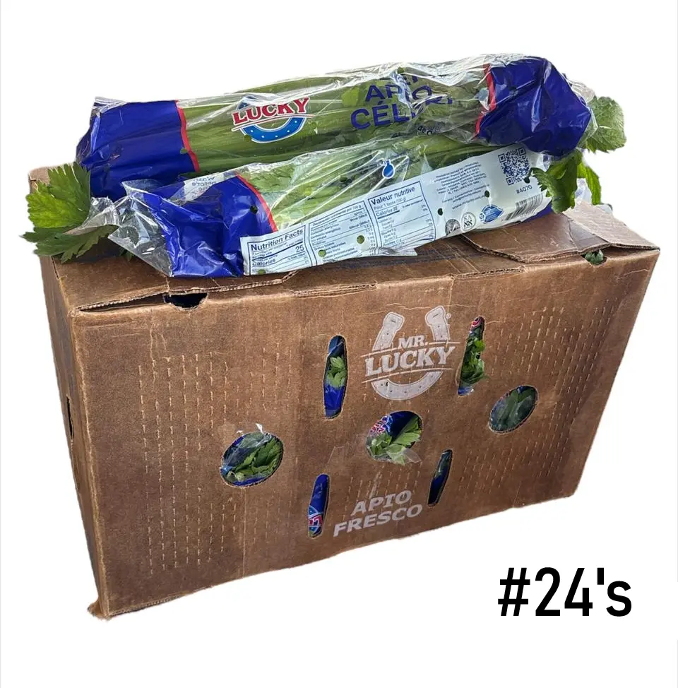Apio Entero | S/H | Mr. Lucky® | Guanajuato  | C-CTN #24's                                                                            