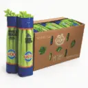 Fresh Celery | U/L  | Mr. Lucky® |  Guanajuato  | BX-CRB #24's                                                                            