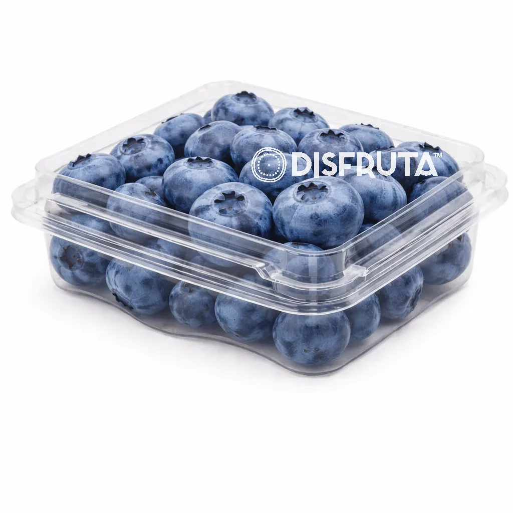 Arándano Azul (Blueberry) | Bayas | Guanajuato | Clamshell  6Oz-170Gr