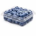 Arándano Azul (Blueberry) | Bayas | Guanajuato | Clamshell  6Oz-170Gr
