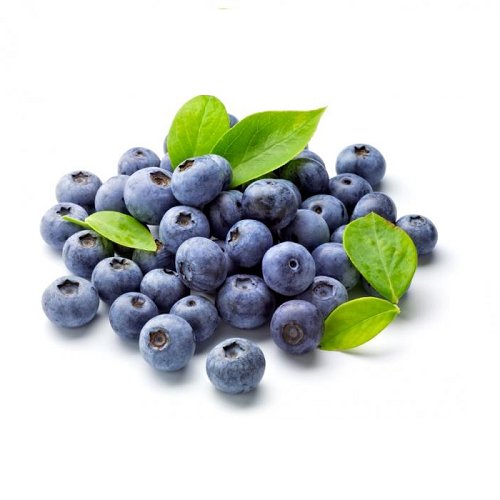Blueberry | Berries | Guanajuato |  BLK                                                                      