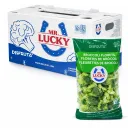 Broccoli Florets & Stems| Mr. Lucky® | Guanajuato |  CTN-BX 10 Pack /3Lb                                                                               