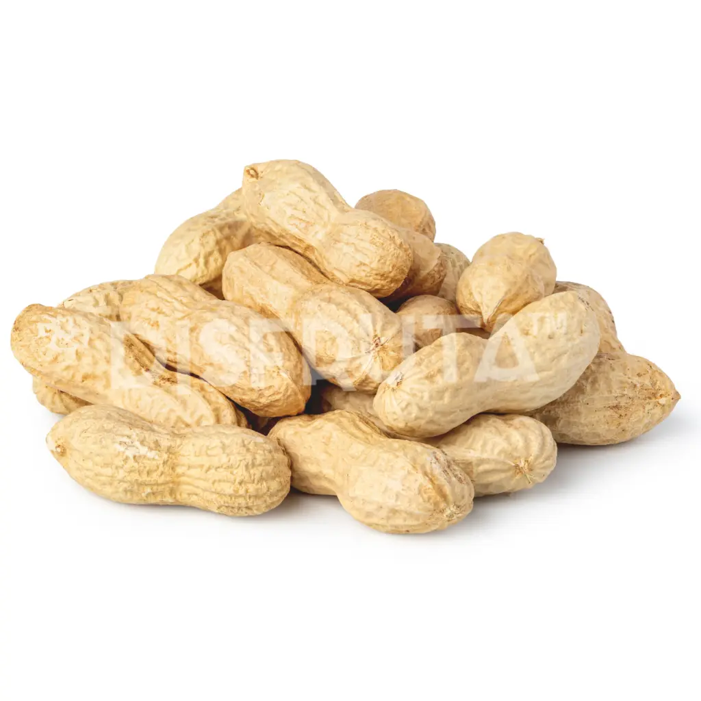 Whole Roasted Peanut | With Pericarp | La Alteña® | China | Bulk                                                                      