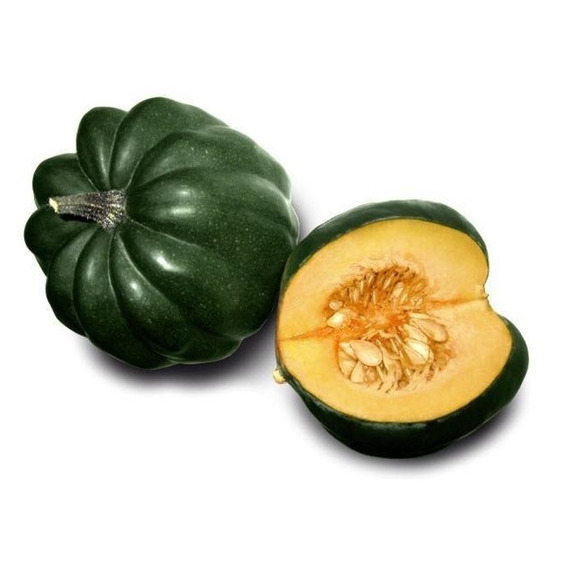 Calabaza India | Morelos  | GRL                                                                               