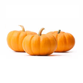 Calabaza Mini Jack |  Chihuahua |  Ornamental | GRL                                                                               