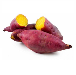 Yellow Sweet Potatoe | Guanajuato | BLK                                                                           