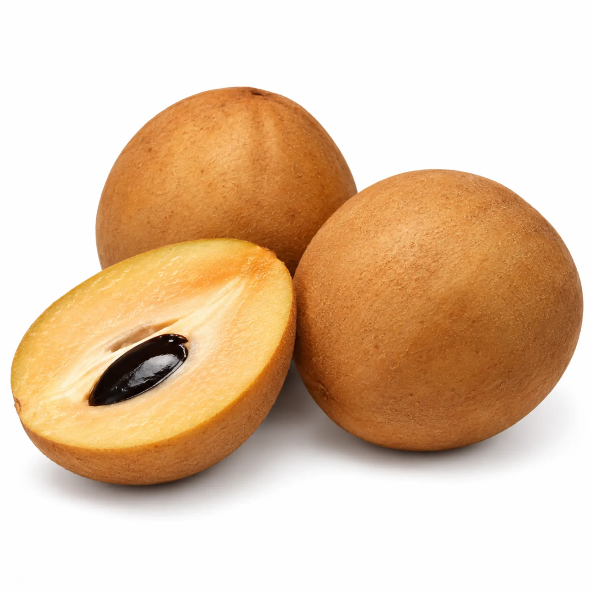 Sapodilla | Chicozapote (Manilkara Zapota) | Chiapas | BLK