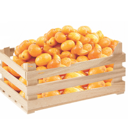 Ciruela Amarilla | Mansa | Jalisco | C-MDR ±13.5Kg