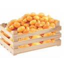 Yellow Mansa Plum | Spondias purpurea L. | Jalisco | WDN-CRT ±14Kg