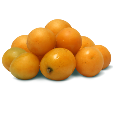 Ciruela Amarilla | Mansa | Jalisco | GRL