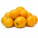 Ciruela Mansa Amarilla | Spondias Purpurea L. | Jalisco | GRL