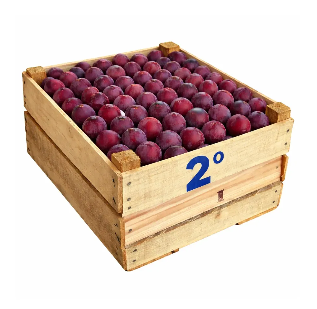 Ciruela Moscatel | # 2° | Michoacán | C-MDR ±9Kg