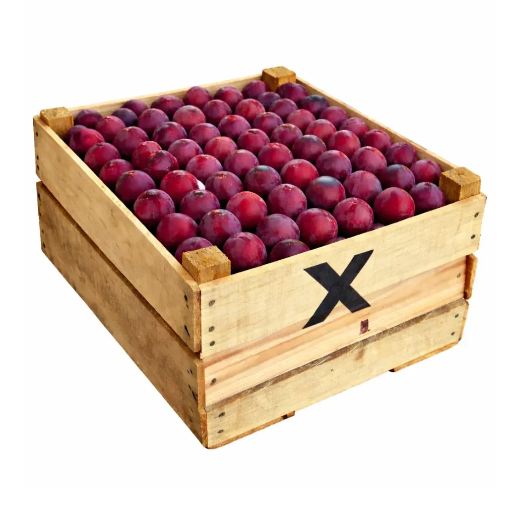 Ciruela Moscatel | # EXT | Michoacán | C-MDR ±10Kg