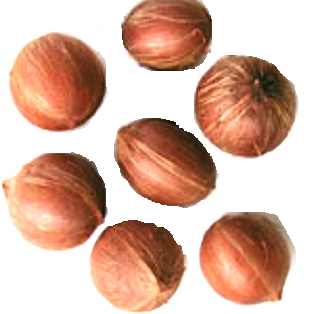 Coco de Aceite | Entero | Guerrero | GRL