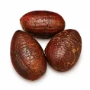 Coco de Aceite | Corozo | Guerrero | GRL