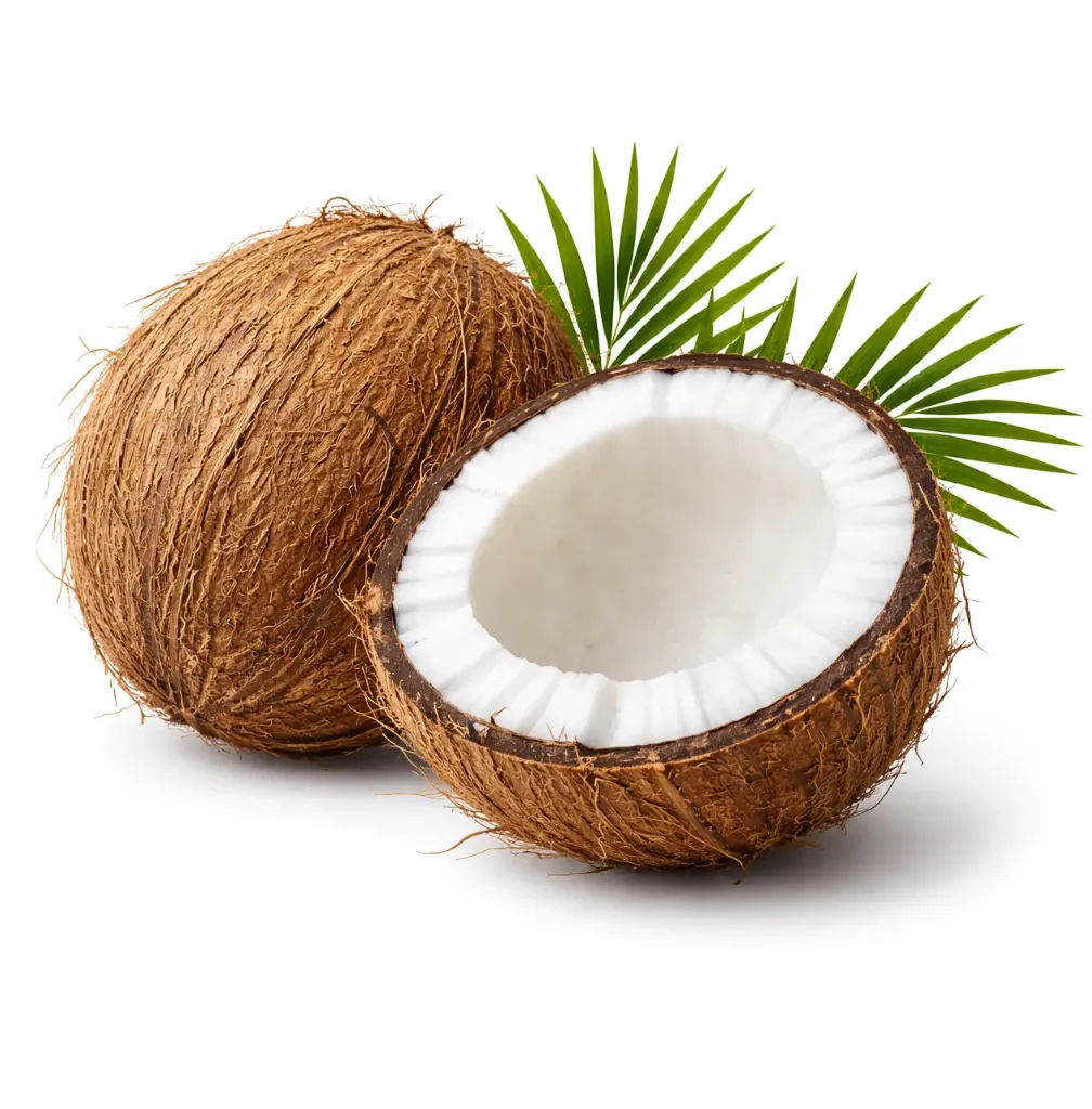 Young Coconut (Coconut Water) | De-exocarped | Guerrero 