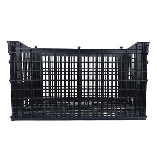 Contenedor Plástico | Empaque Negro Genérico                                                                           