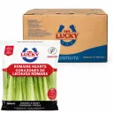 Romaine Lettuce Hearts | Mr. Lucky® | Guanajuato | CTN-BX 12 Pack 3 Units                                                                
