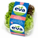 Corazones Rústicos de Lechuga | Eva® | Clamshell x 4U