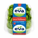 Corazones de Lechuga | Mini Romaine | Eva®| Guanajuato |  Clamshell X4