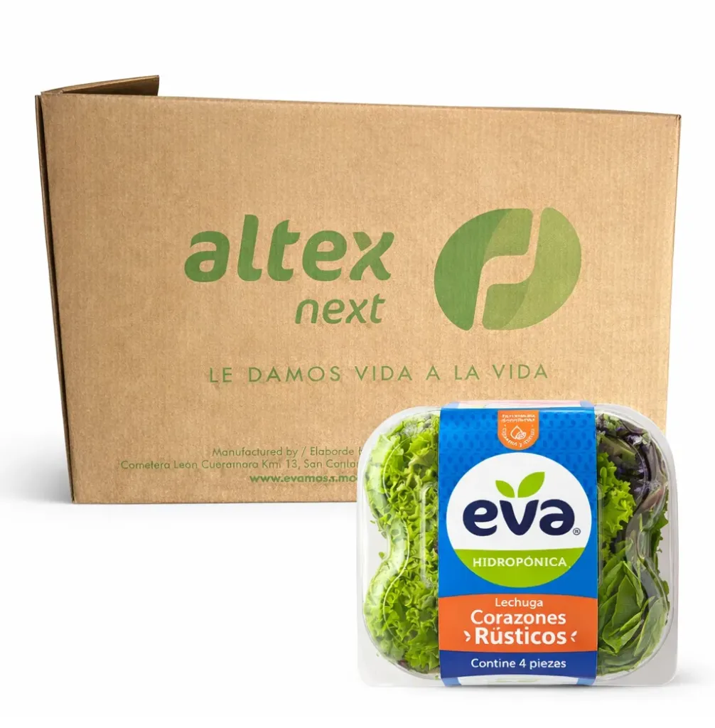 Corazones De Lechuga Rústicos | Eva ® | C-CTN 8-Clamshells x 4U                                                                              