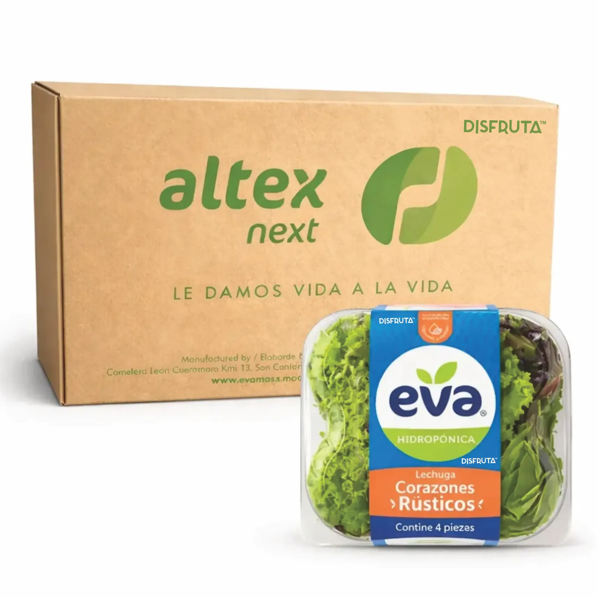 Rustic Lettuce Hearts | Eva ® | CTN-BX 8-Clamshells x 4U                                                                              