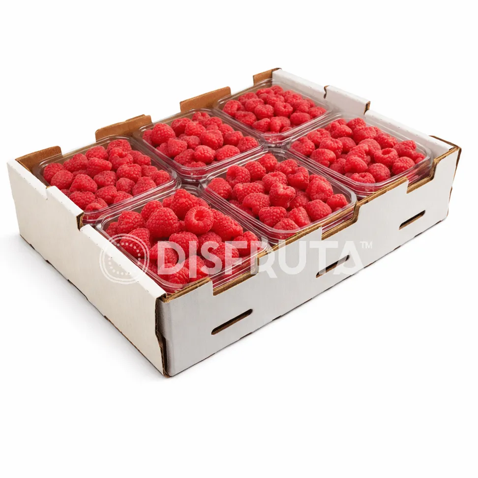 Frambuesa Malú | Bayas | Guanajuato | C-CTN 12 Clamshells 170Gr-6Oz                                                                              