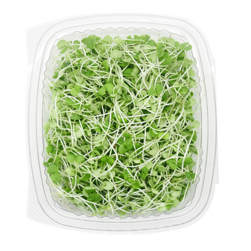 Germinado De Alfalfa  Orgánico | Jalisco | Clamshell 210GR                                                                                                             