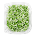 Organic Alfalfa Sprouts | Jalisco | Clamshell | 210Gr                                                                           