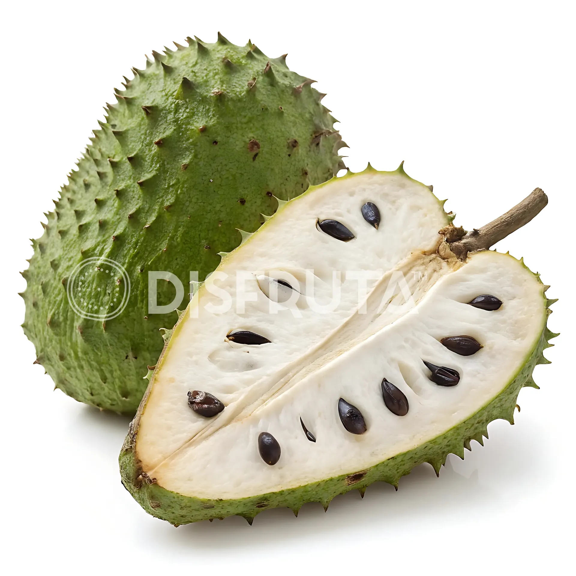 Soursup Graviola | Nayarit | BLK                                                                               