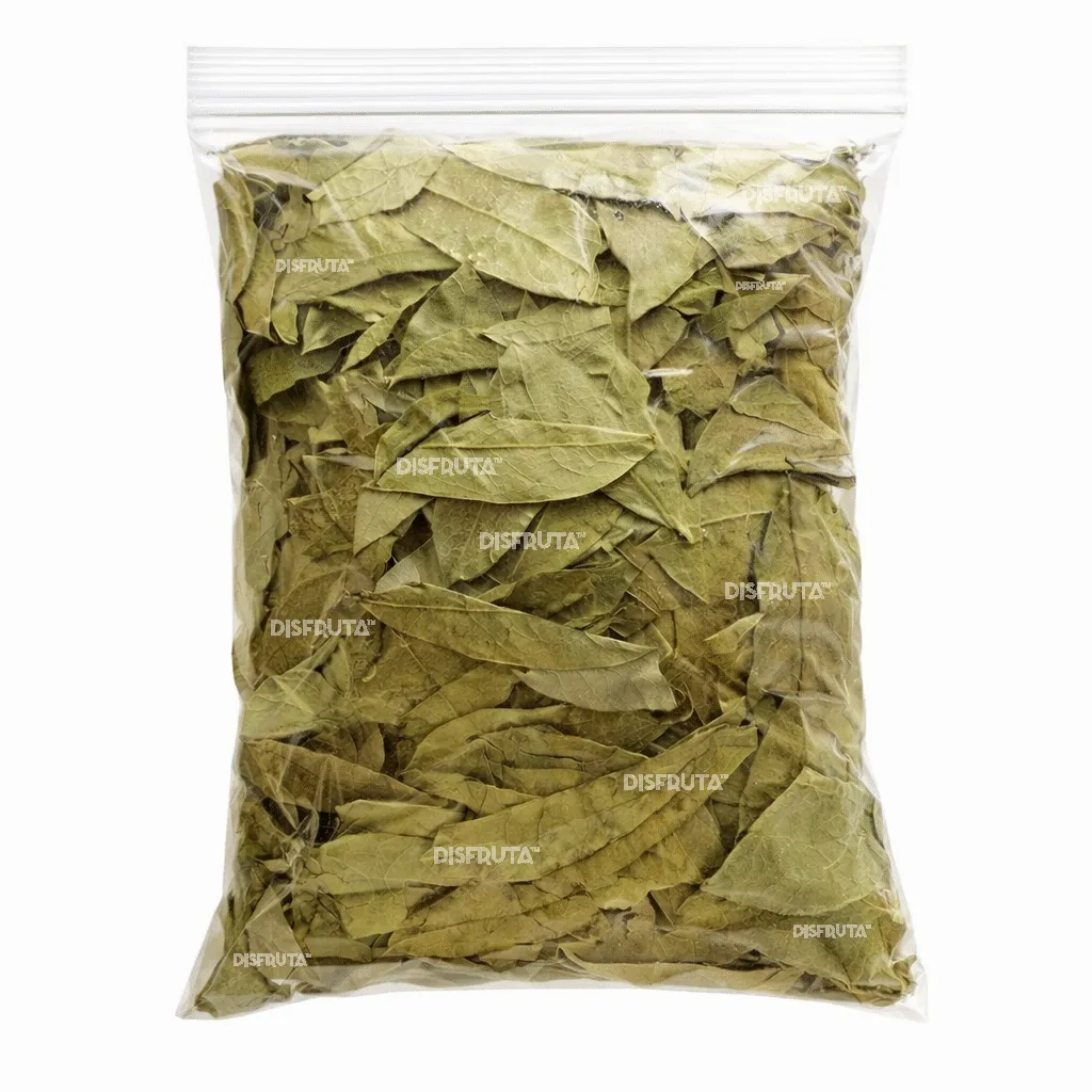 Soursop Leaves | Nayarit | Pack 250Gr-8.81Oz                                                                             