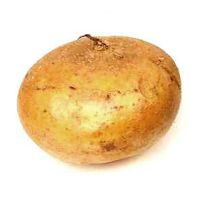 Jícama | Puebla  |  GRL                                                                               