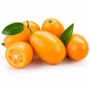 Kumquat Nagami |  Morelos |  GRL                                                                               