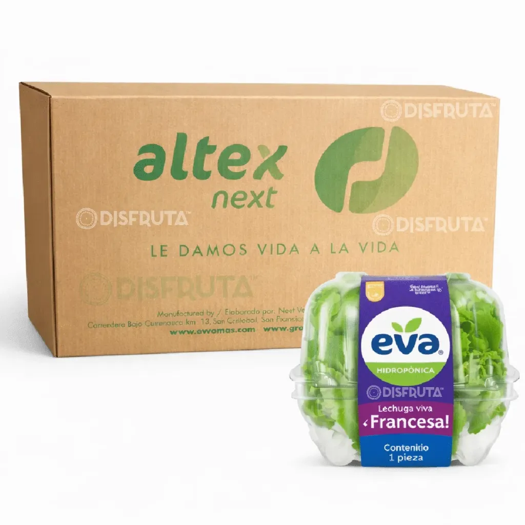 Lechuga Hidropónica Francesa | Eva®| C-CTN 6 Clamshells X1