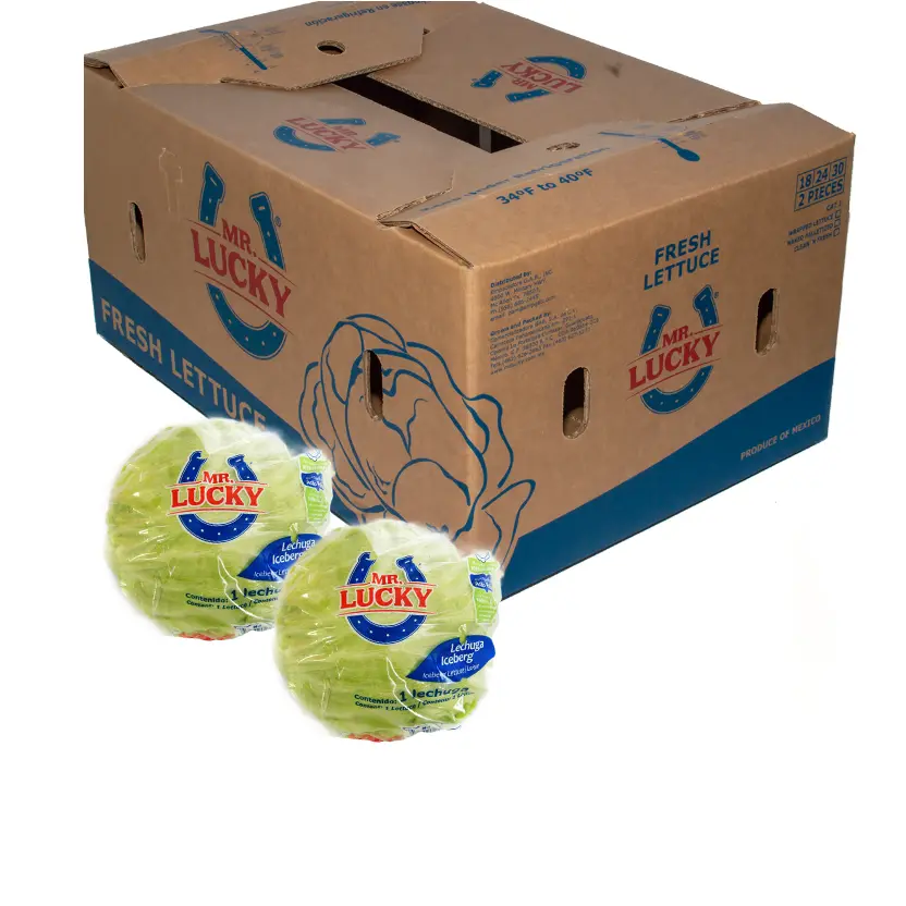 Lechuga Iceberg C/B | Mr. Lucky® | Guanajuato | C-CTN #24's                                                                            