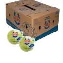 Lechuga Iceberg C/B | Mr. Lucky® | Guanajuato | C-CTN #24's                                                                            