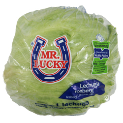 Lechuga Iceberg C/B | Mr. Lucky ® | Guanajuato                                                                               
