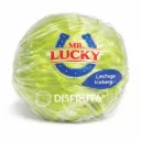 Lechuga Iceberg C/B | Mr. Lucky ®  | Guanajuato                                                                               