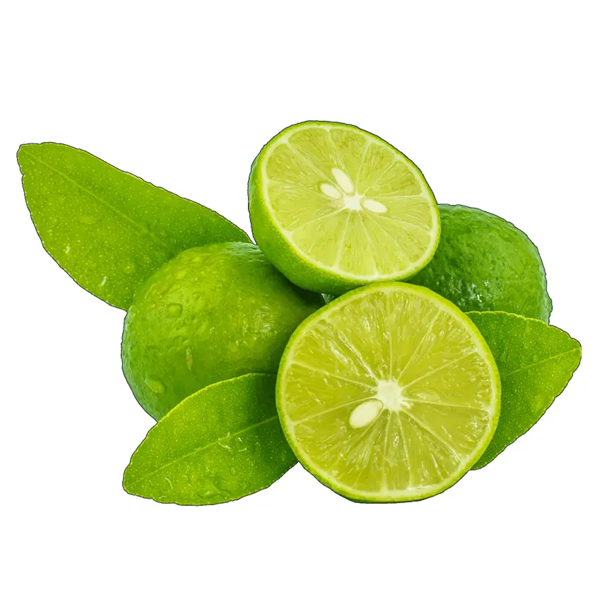 Key Lime | #6 EXT | Michoacán | BLK