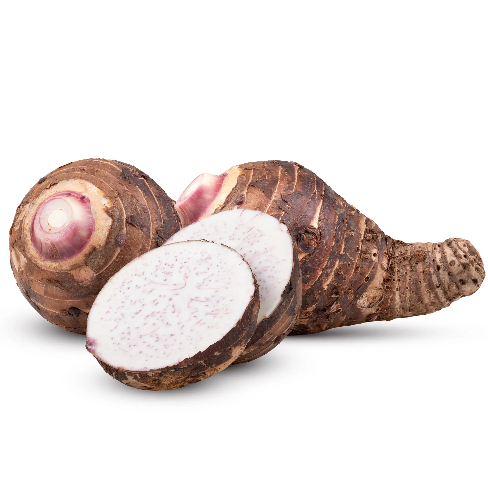 Malanga (Colocasia Esculenta) | Puebla | GRL                                                                              