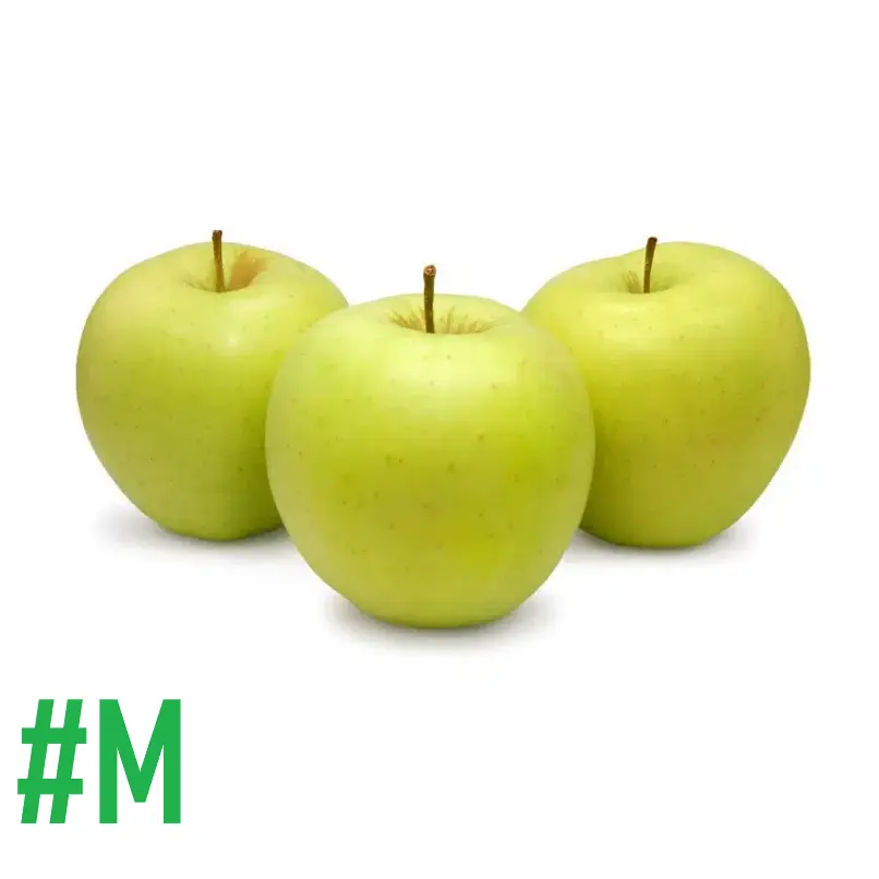 Golden Delicious Apple | # M |  Chihuahua | BLK