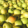 Manzana Golden Delicious | #G  | Chihuahua | GRL